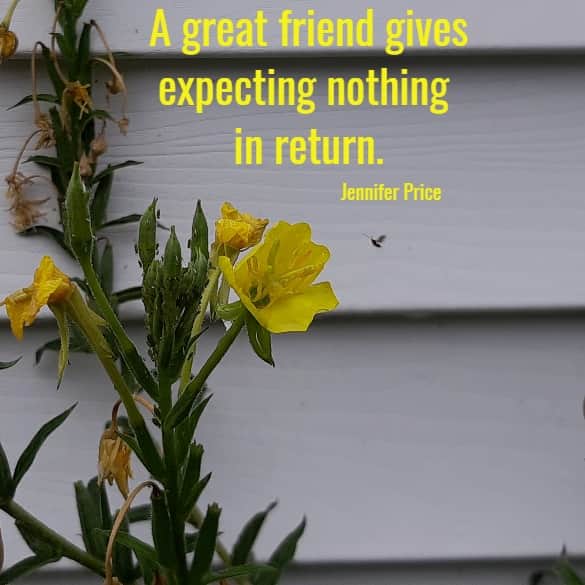 A great friend gives expecting nothing in return