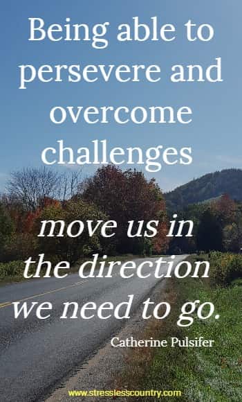 being able to persevere and overcome challenges....