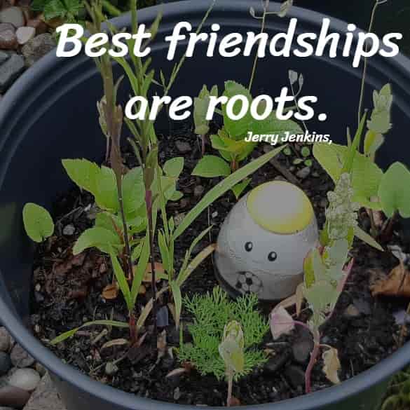 Best friendships are roots.