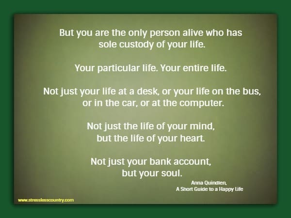 But you are the only person alive who has sole custody of your life. Your particular life. Your entire life.  Not just your life at a desk, or your life on the bus, or in the car, or at the computer.  Not just the life of your mind, but the life of your heart.  Not just your bank account, but your soul. Anna Quindlen, A Short Guide to a Happy Life