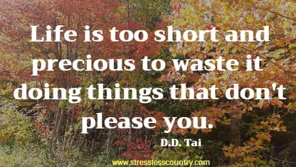 Life is too short and precious to waste it doing things that don't please you.