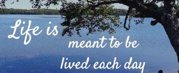life is meant to be lived each day
