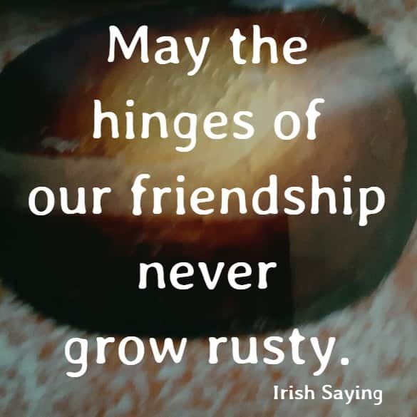 May the hinges of our friendship never grow rusty.