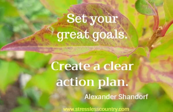 photo of a leaf with quote: set your great goals. create a clear action plan