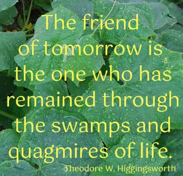 The friend of tomorrow is the one who has ...