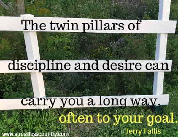 discipline and desire - you need both to achieve your goals!
