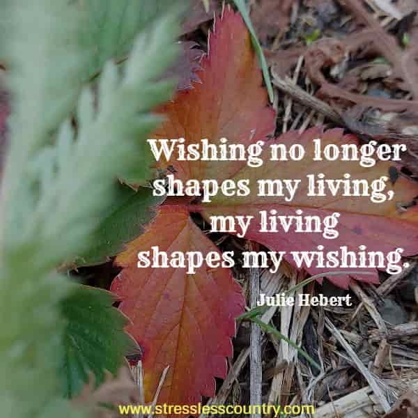 Wishing no longer shapes my living, my living shapes my wishing.