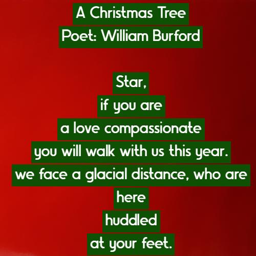 A Christmas Tree Poet:  William Burford  Star, if you are  a love compassionate you will walk with us this year. we face a glacial distance, who are here huddled at your feet.