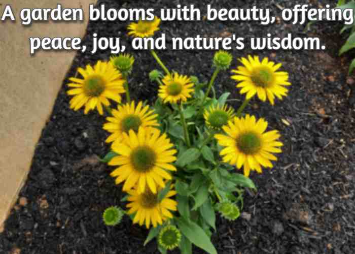 A garden blooms with beauty, offering peace, joy, and nature's wisdom.