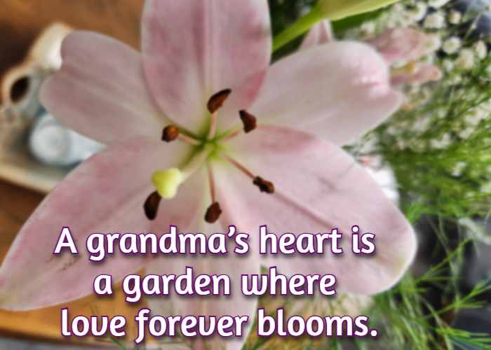 A grandma’s heart is a garden where love forever blooms.