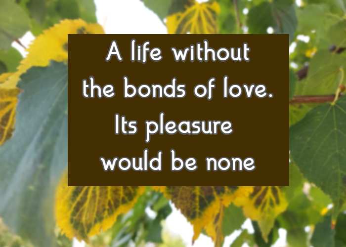 A life without the bonds of love. Its pleasure would be none