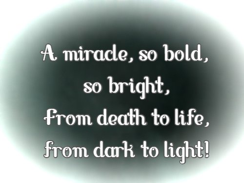 A miracle, so bold, so bright, From death to life, from dark to light!