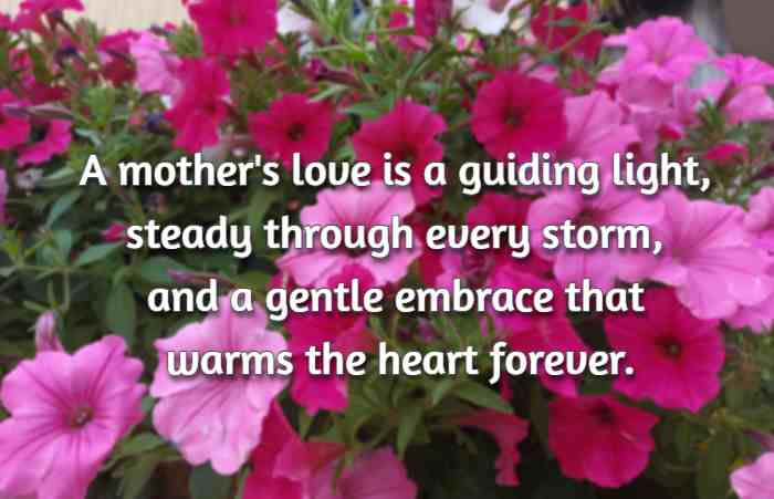 A mother's love is a guiding light, steady through every storm, and a gentle embrace that warms the heart forever.