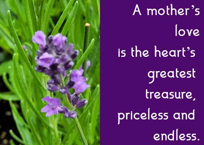 A mother’s love is the heart’s greatest treasure, priceless and endless.