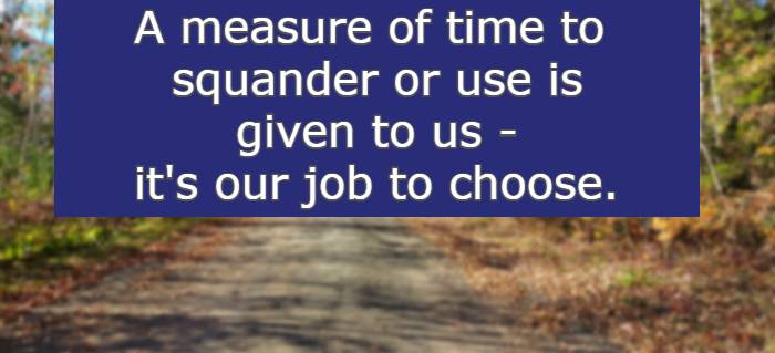 A measure of time to squander or use is given to us - it's our job to choose.