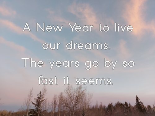 A New Year to live our dreams. The years go by so fast it seems.