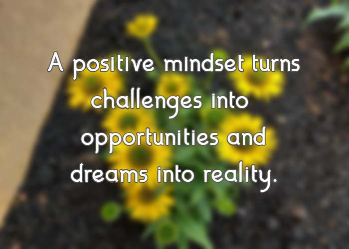 A positive mindset turns challenges into opportunities and dreams into reality.