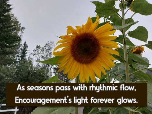 As seasons pass with rhythmic flow, Encouragement's light forever glows.