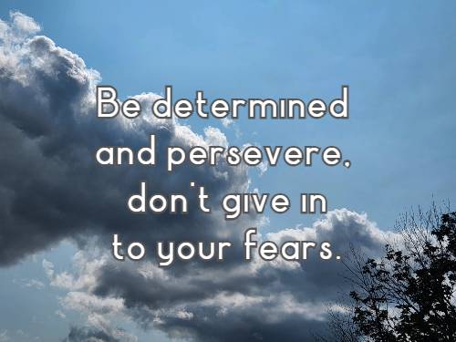    Be determined and persevere, don't give in to your fears.