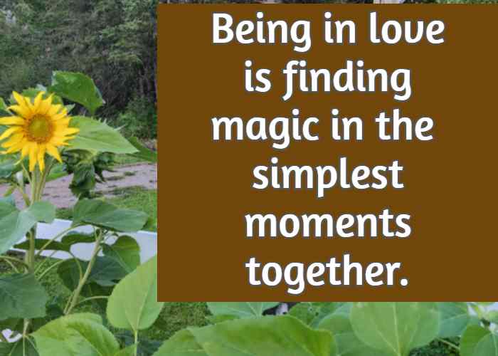 Being in love is finding magic in the simplest moments together.