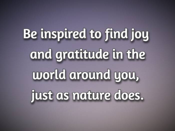 Be inspired to find joy and gratitude in the world around you, just as nature does.