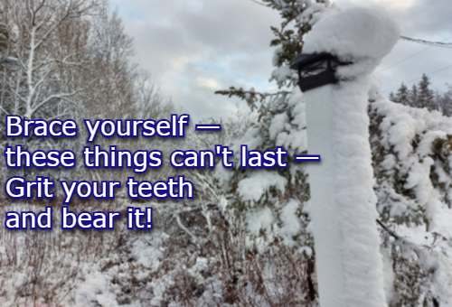 Brace yourself — these things can't last — Grit your teeth and bear it! 