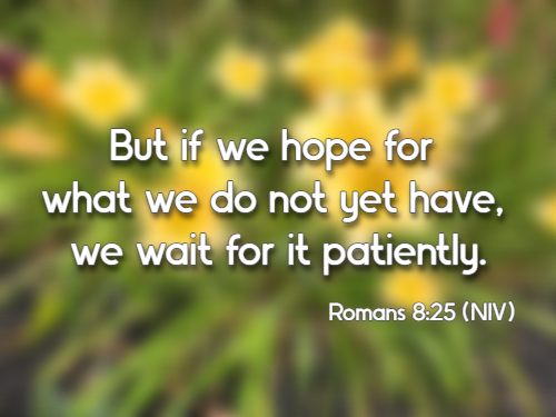 But if we hope for what we do not yet have, we wait for it patiently. Romans 8:25 (NIV)