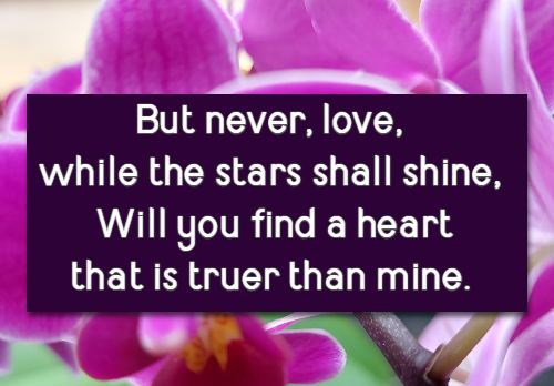 But never, love, while the stars shall shine, Will you find a heart that is truer than mine.