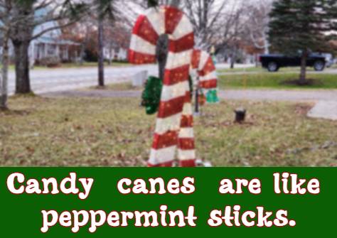 Candy canes are like peppermint sticks.