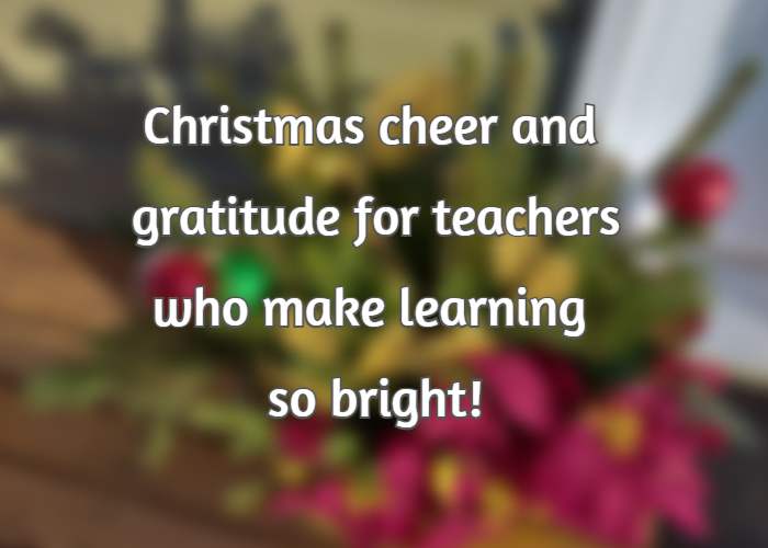 Christmas cheer and gratitude for teachers who make learning so bright!