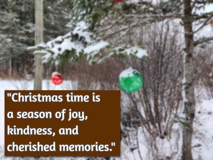 Christmas time is a season of joy, kindness, and cherished memories.