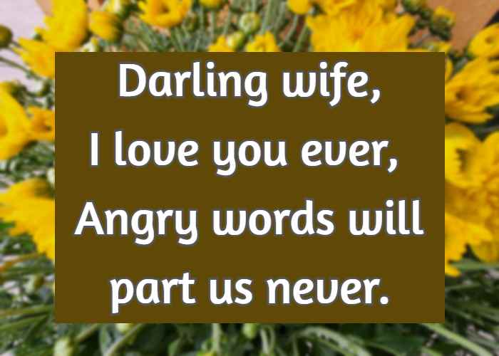 Darling wife, I love you ever, Angry words will part us never.