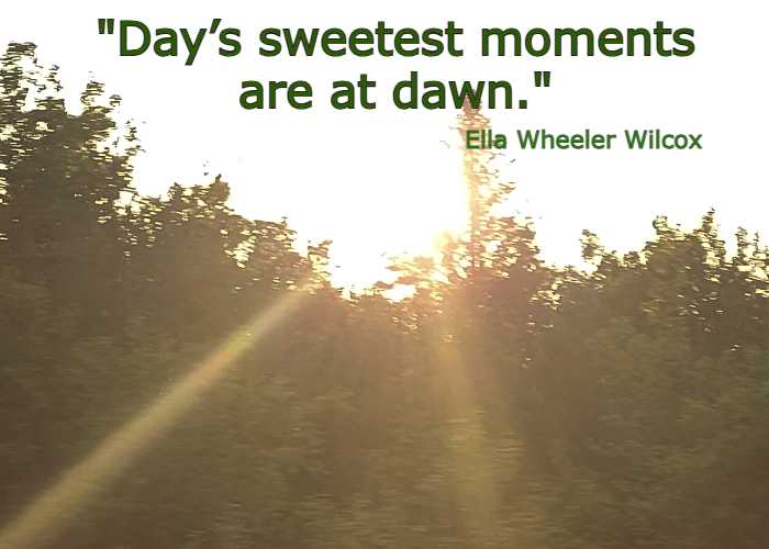 Day’s sweetest moments are at dawn.– Ella Wheeler Wilcox