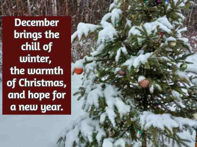 December brings the chill of winter, the warmth of Christmas, and hope for a new year.