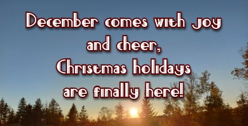 December comes with joy and cheer, Christmas holidays are finally here!