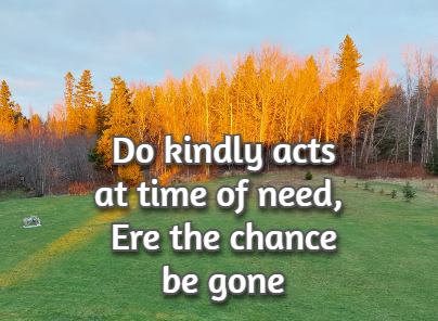 Do kindly acts at time of need, Ere the chance be gone