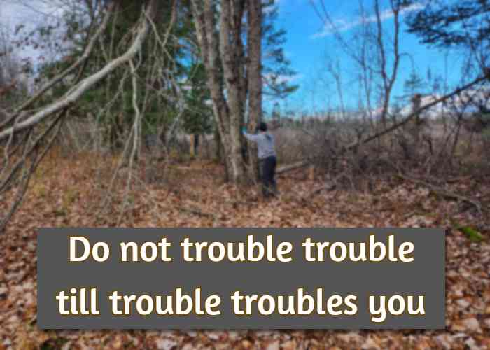 Do not trouble trouble till trouble troubles you