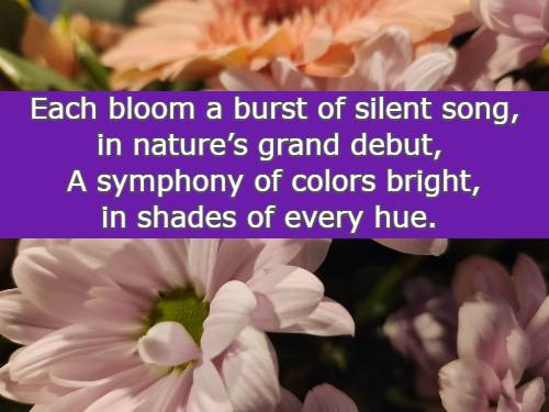 Each bloom a burst of silent song, in nature’s grand debut, A symphony of colors bright, in shades of every hue.