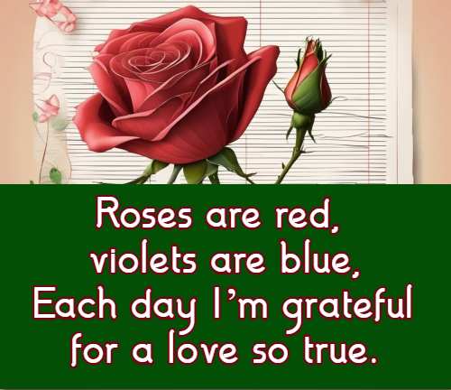 Roses are red, violets are blue, Each day I’m grateful for a love so true.