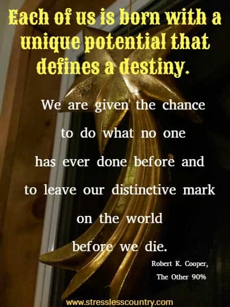 Each of us is born with a unique potential that defines a destiny. We are given the chance to do what no one has ever done before and to leave our distinctive mark on the world before we die. Robert K. Cooper, The Other 90%