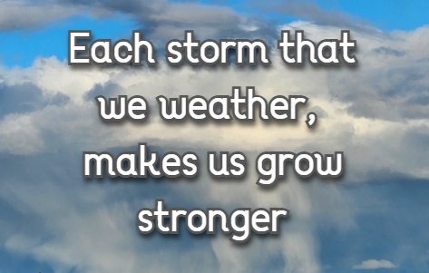 Each storm that we weather, makes us grow stronger