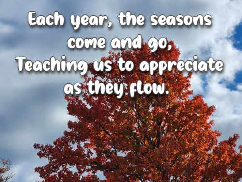 Each year, the seasons come and go, Teaching us to appreciate as they flow.