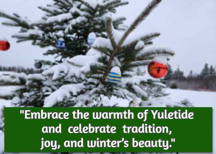 Embrace the warmth of Yuletide and  celebrate  tradition, joy, and winter’s beauty.