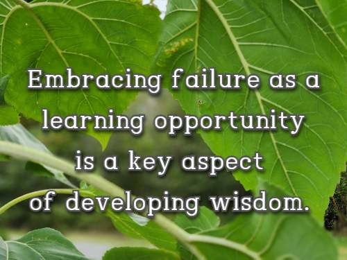 Embracing failure as a learning opportunity is a key aspect of developing wisdom.