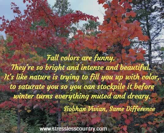 20 Nature Poems, Short Poems on the beauty of Nature