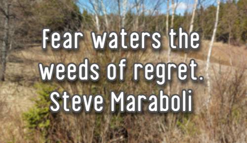 Fear waters the weeds of regret.