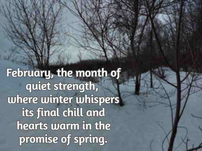 February, the month of quiet strength, where winter whispers its final chill and hearts warm in the promise of spring.