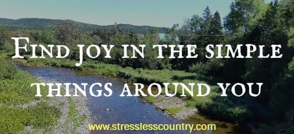 find joy in the simple things around you