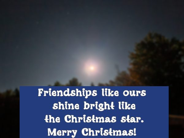  	Friendships like ours shine bright like the Christmas star. Merry Christmas!