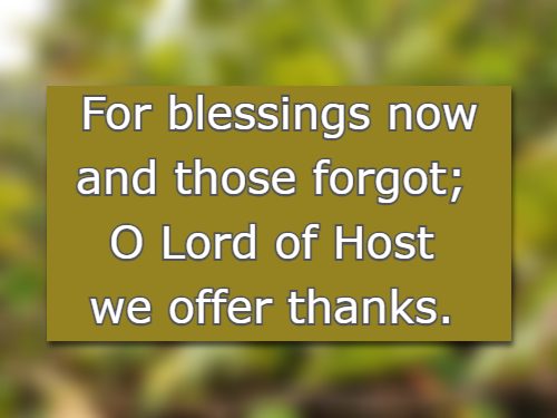 For blessings now and those forgot; O Lord of Host we offer thanks.